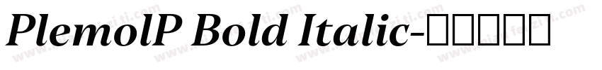 PlemolP Bold Italic字体转换